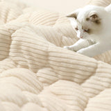 Durable Corduroy Washable Non-Slip Pet Mat