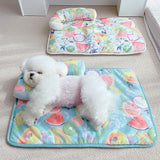 Fruit Print Cooling Ice Silk Dog & Cat Mat with Pillow