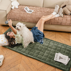 Funda para Sofá Make Waffle Biscuit – Suave Franela Acogedora y Alfombra Transpirable para Mascotas, ¡Deléitate con una Comodidad Sabrosa!