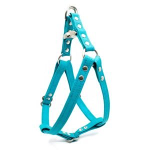 Teal Cork Dog Harness