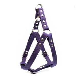 Violet Cork Dog Harness
